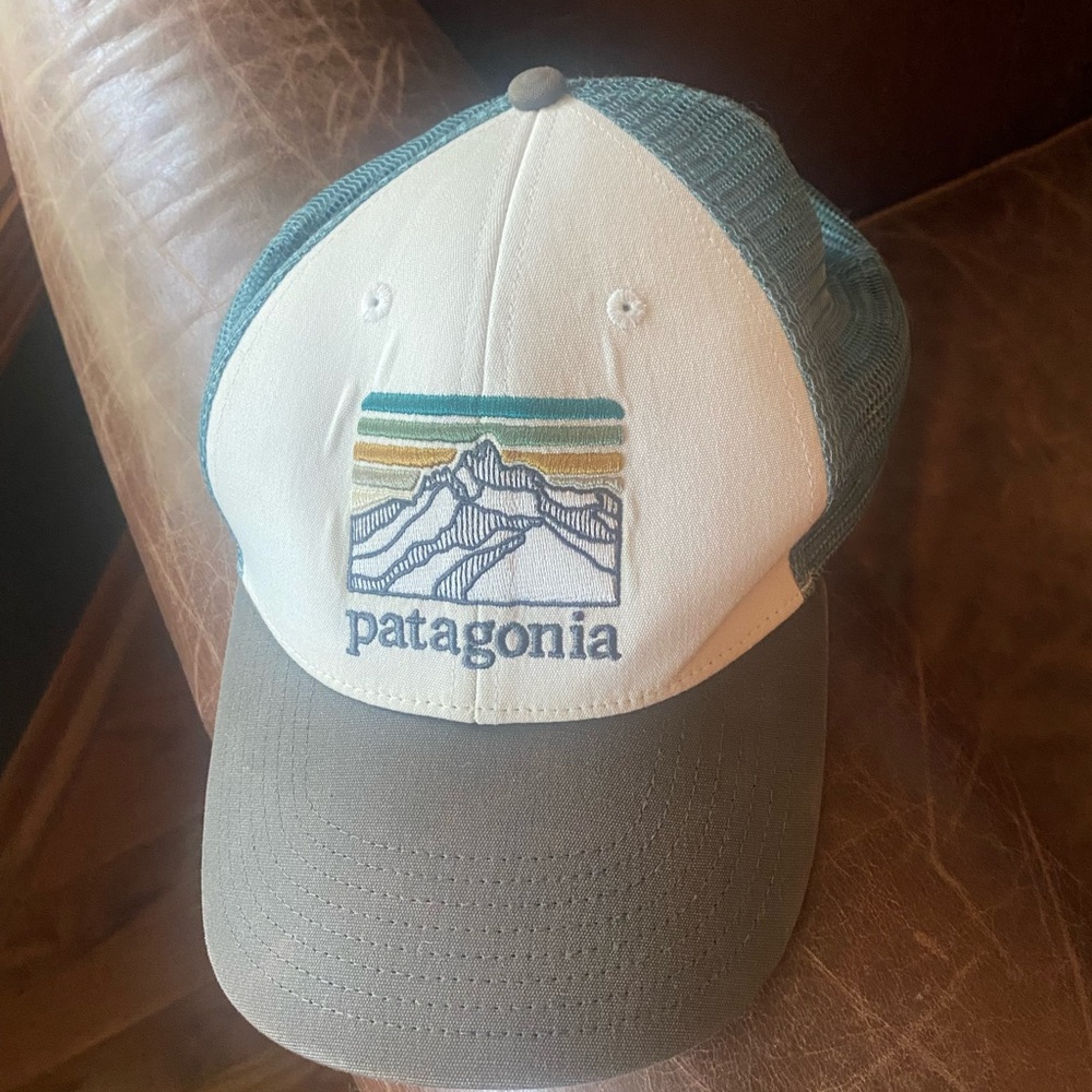 Patagonia Cap with Gray and Teal Design
